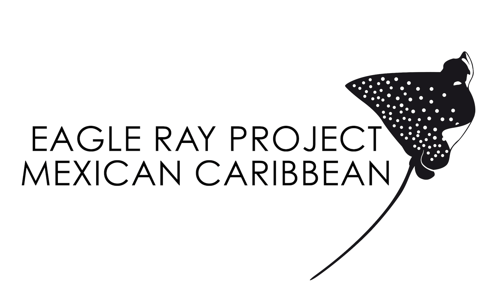 eagle ray project mexican caribbean
